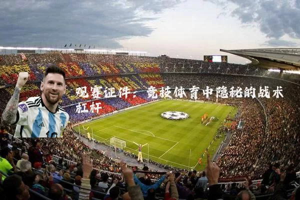 观赛证件：竞技体育中隐秘的战术杠杆