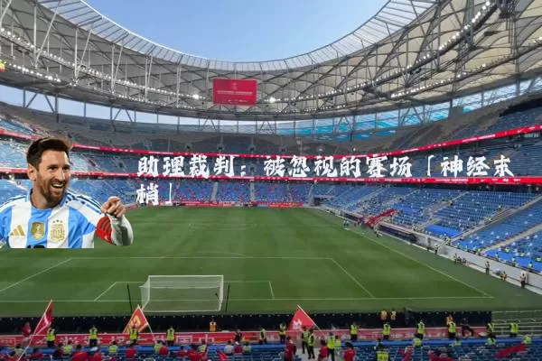 助理裁判：被忽视的赛场「神经末梢」